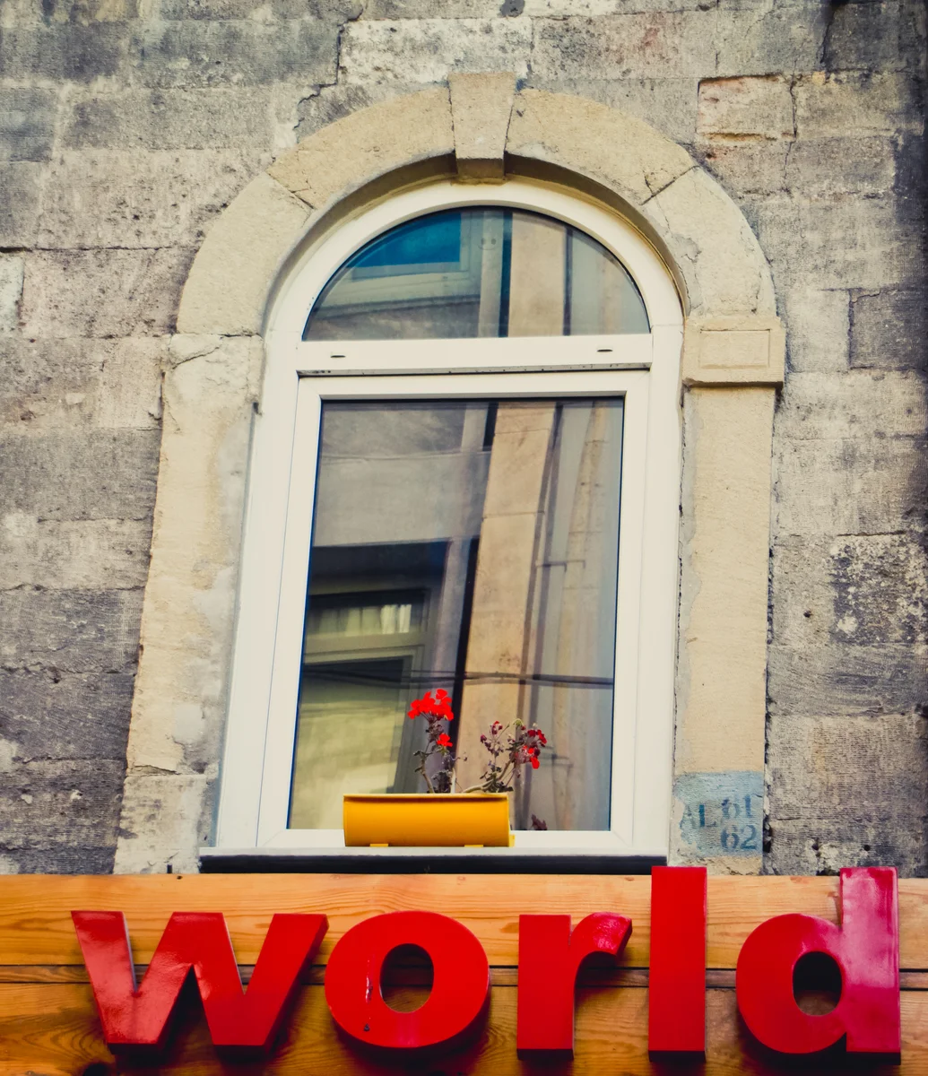 red world potted plant window.jpg