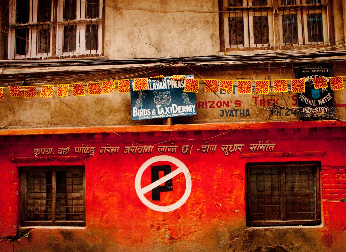 taxidermy windows in nepal.jpg