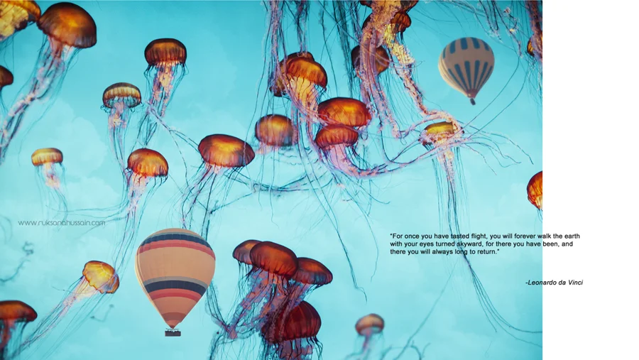 a reason to love wanderlust