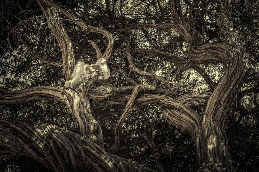 tangled Ruksana Hussain SS.jpg