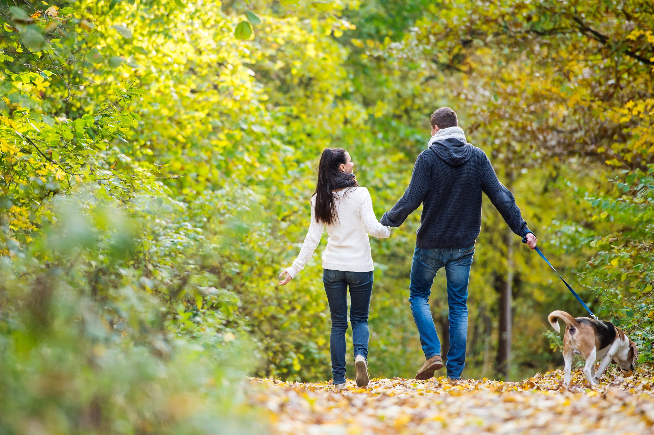 beautiful-young-couple-with-dog-on-a-walk-in-colorful-sunny-autumn-forest-rear-view-SBI-305223038.jpg