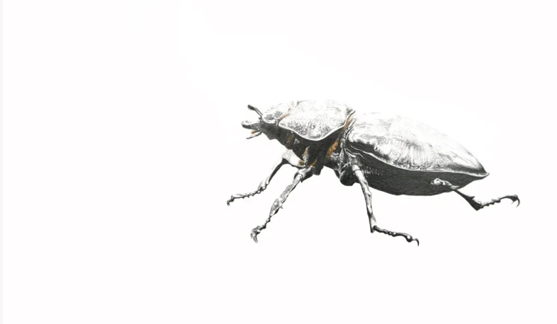 IMG_0098.jpeg