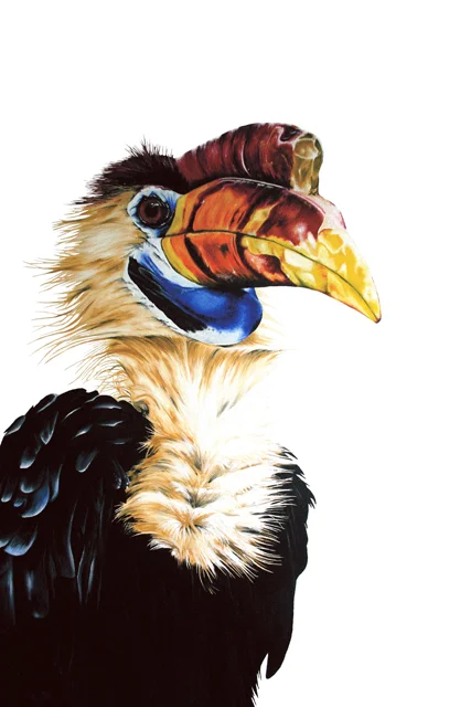 HornbillCard.jpg