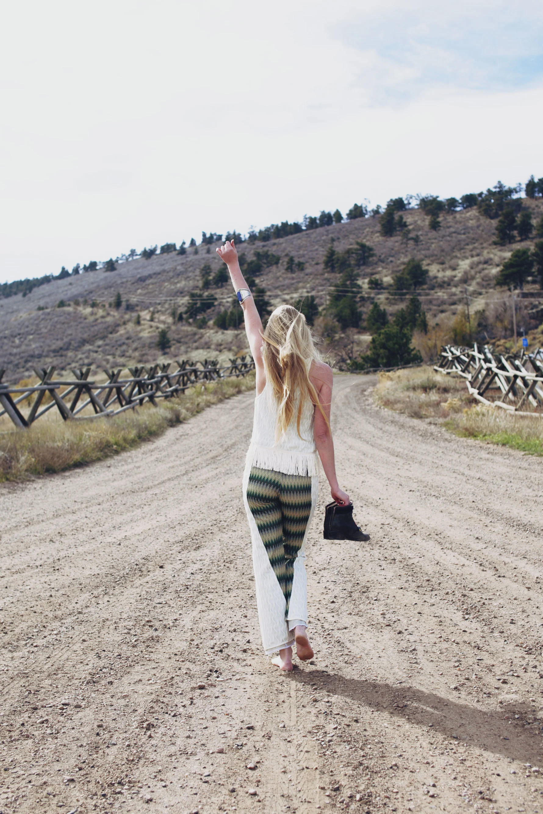 Pineridge Natural Area Fort Collins