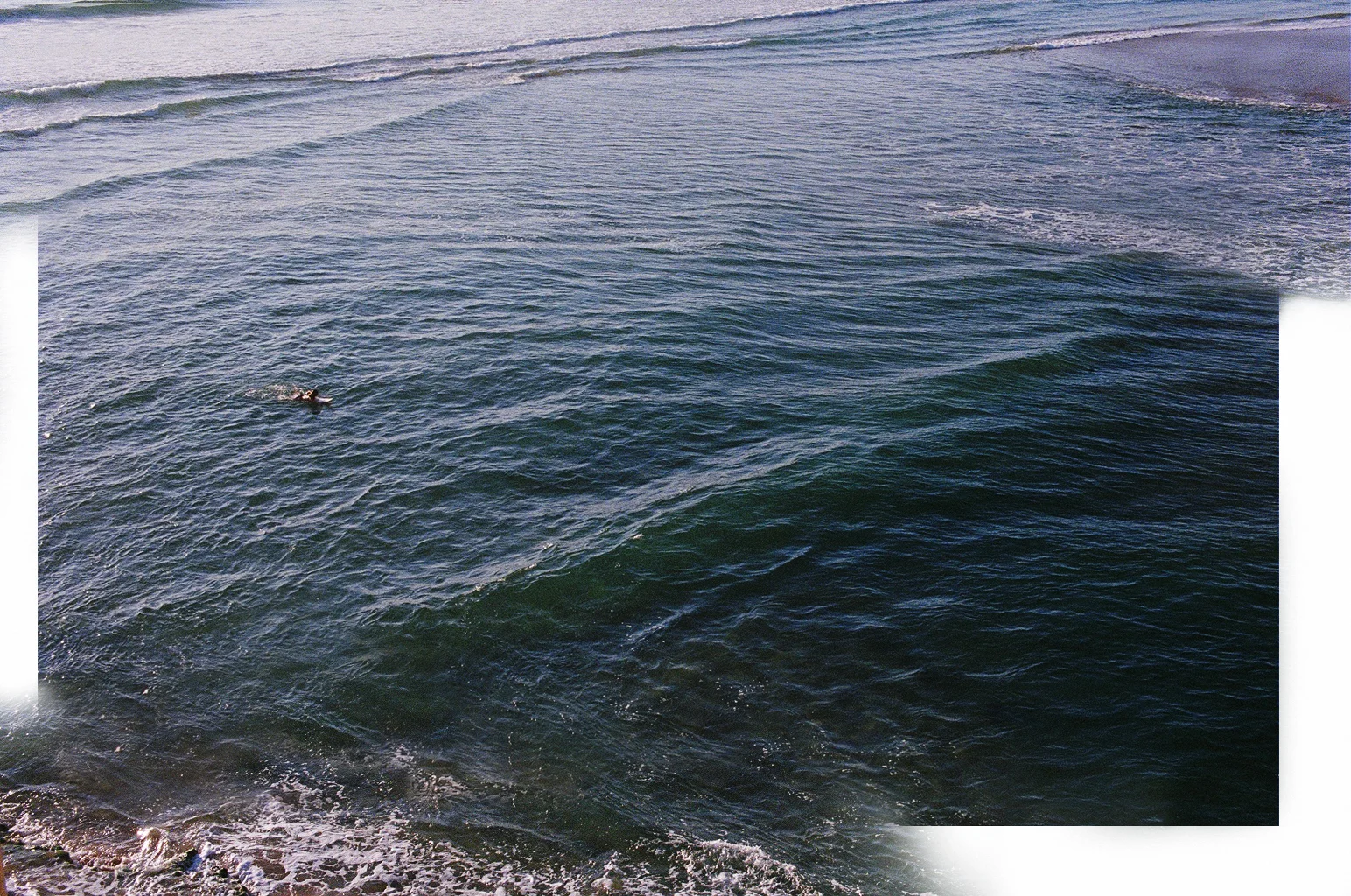 danae surf.jpg