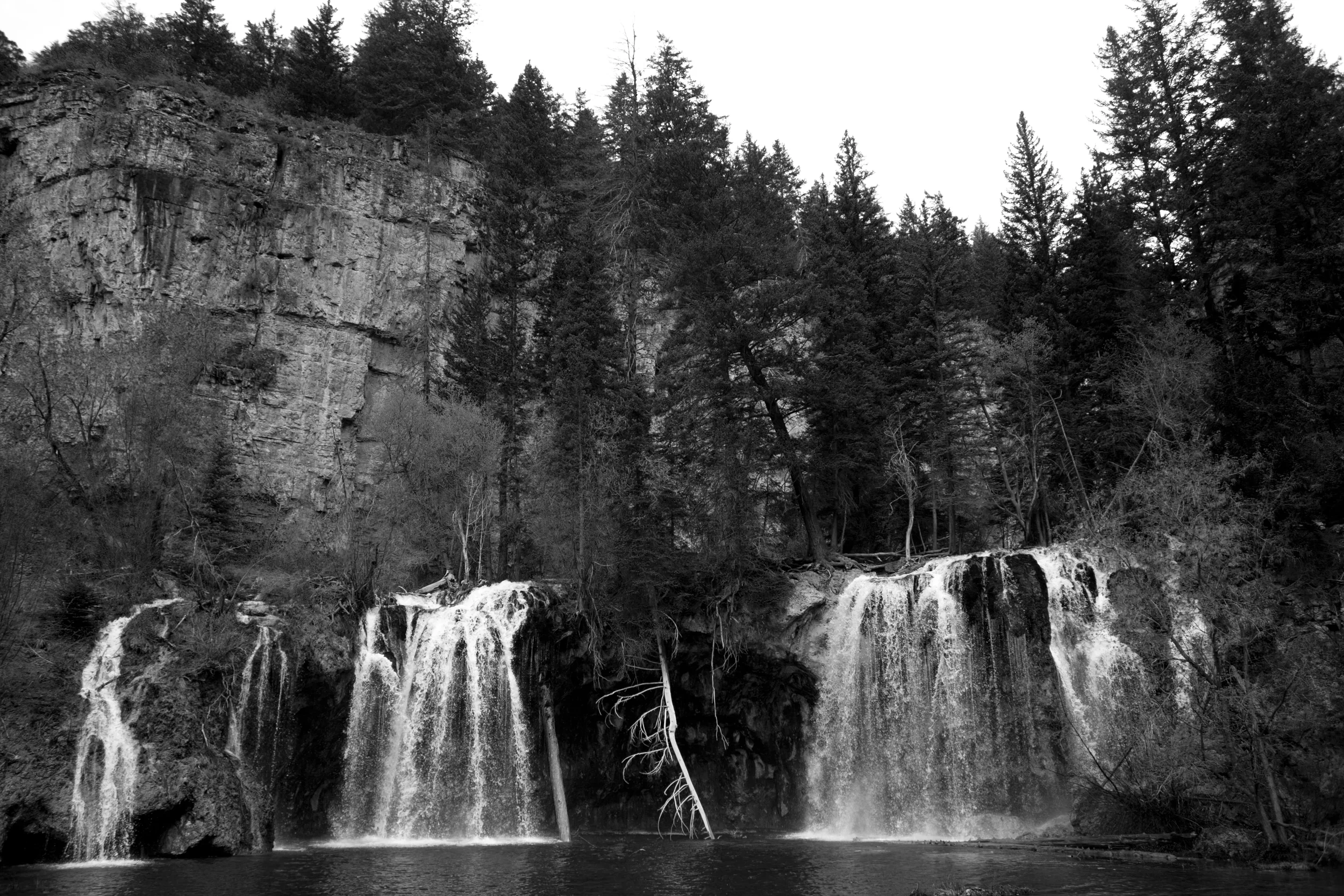 _MG_5321.jpg