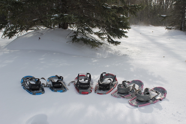 Youth Group Gathering: Snowshoeing & Sledding