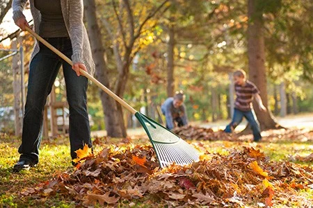 Fall Service Day