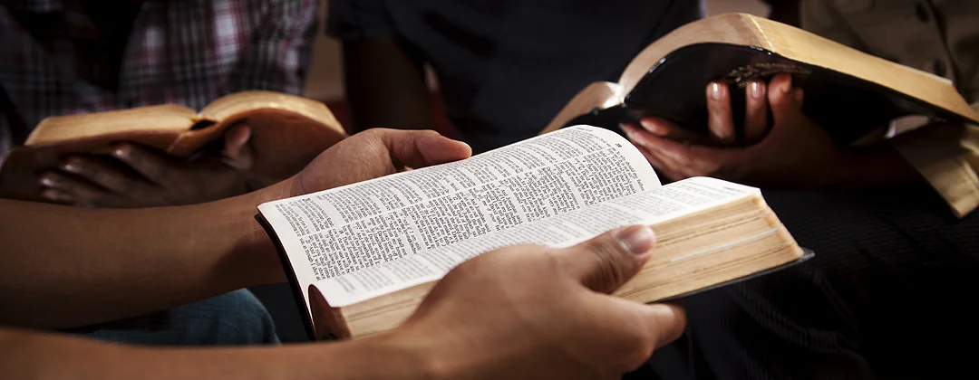 Morning Bible Study