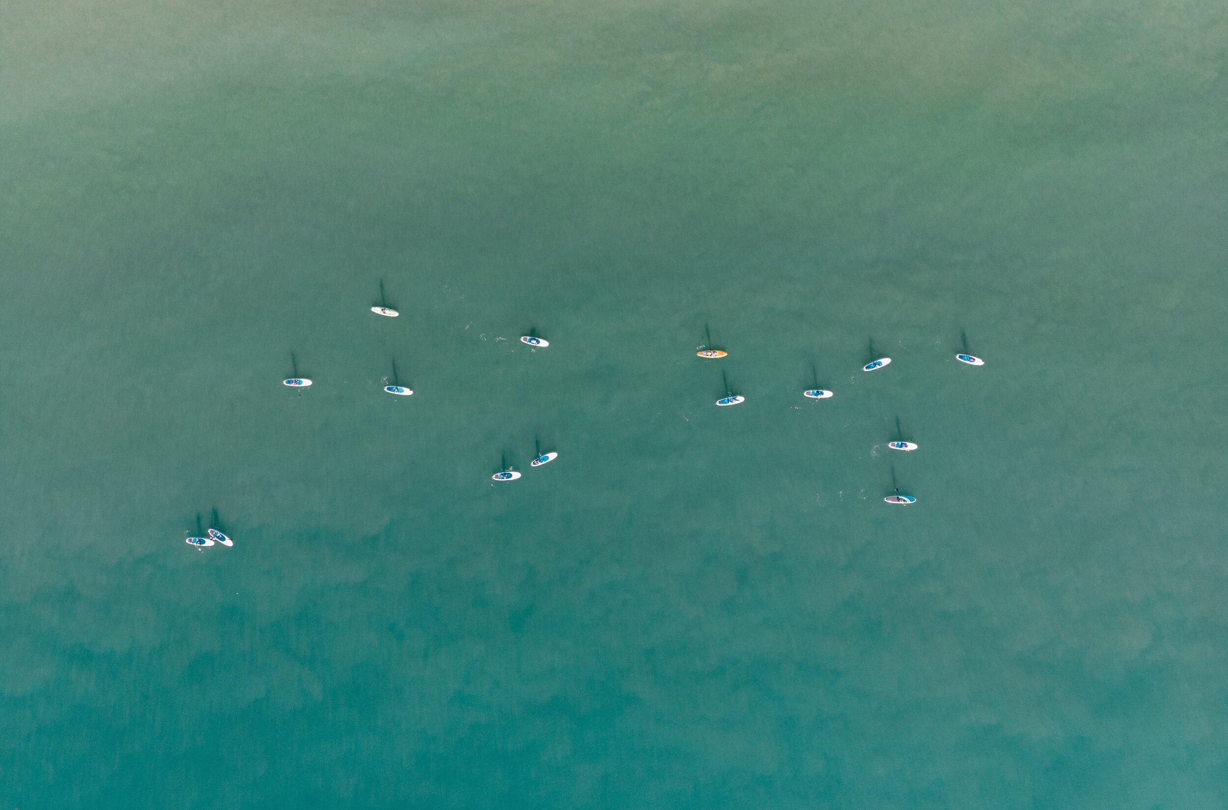 Ladies' Paddleboard Night
