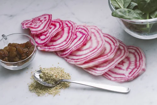 polkabeet_small.jpg