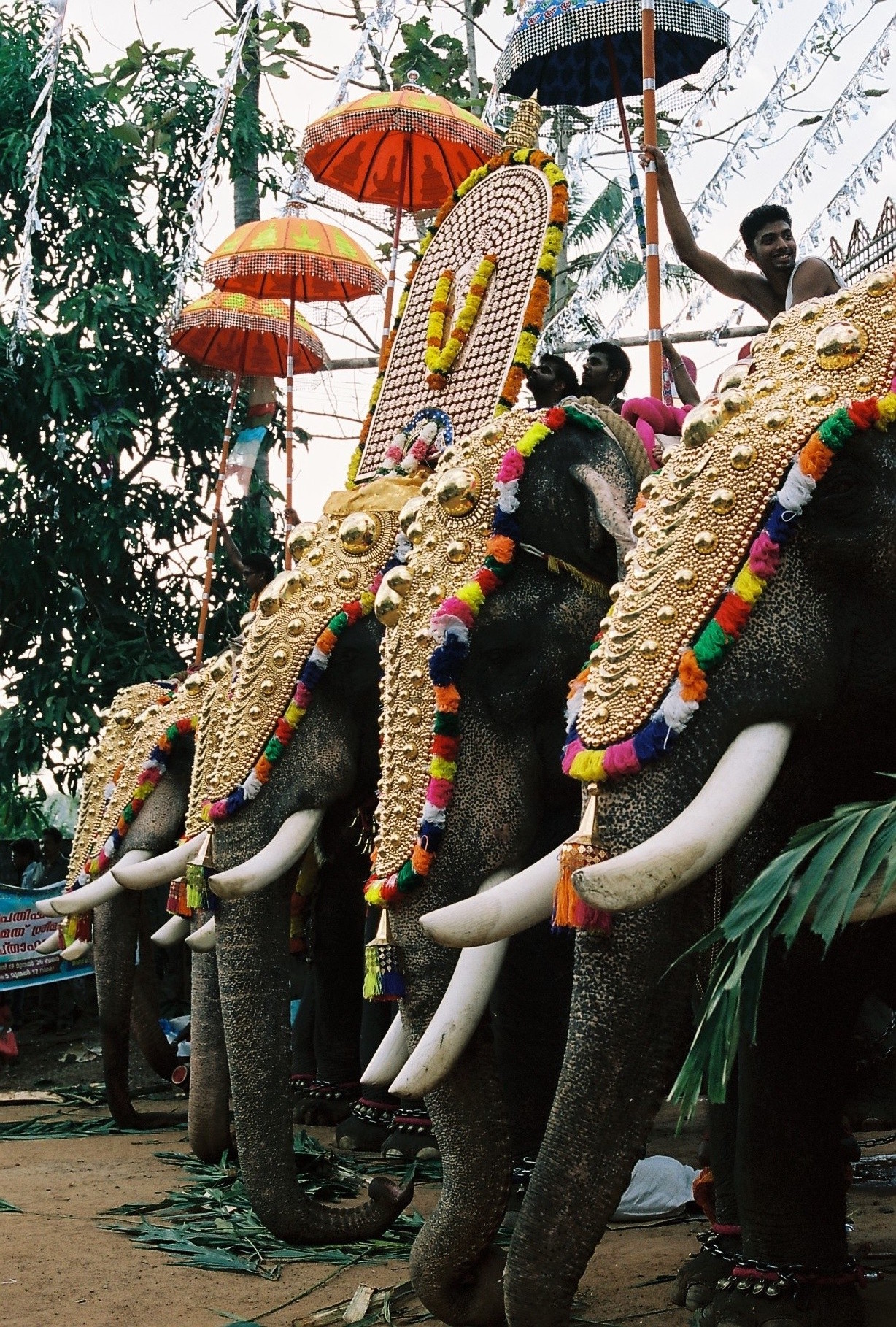 Temple festival. India