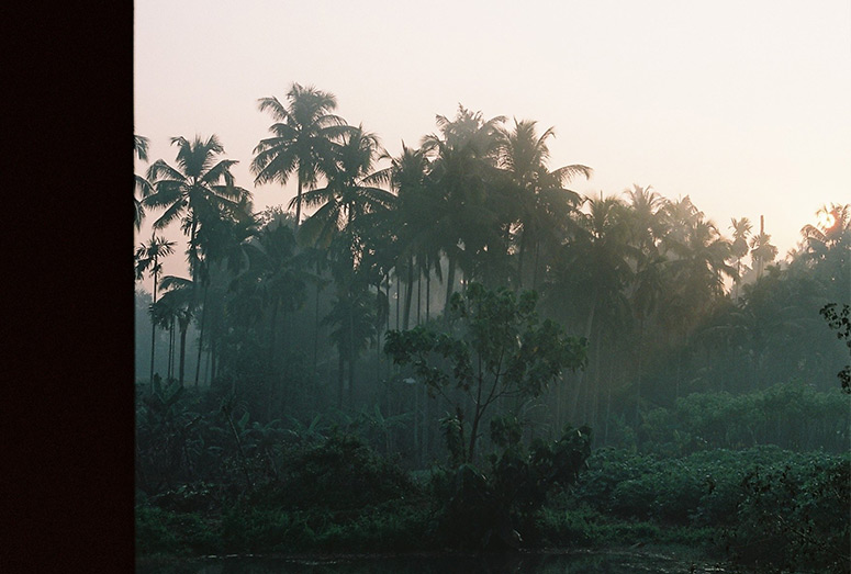 Sabana. India