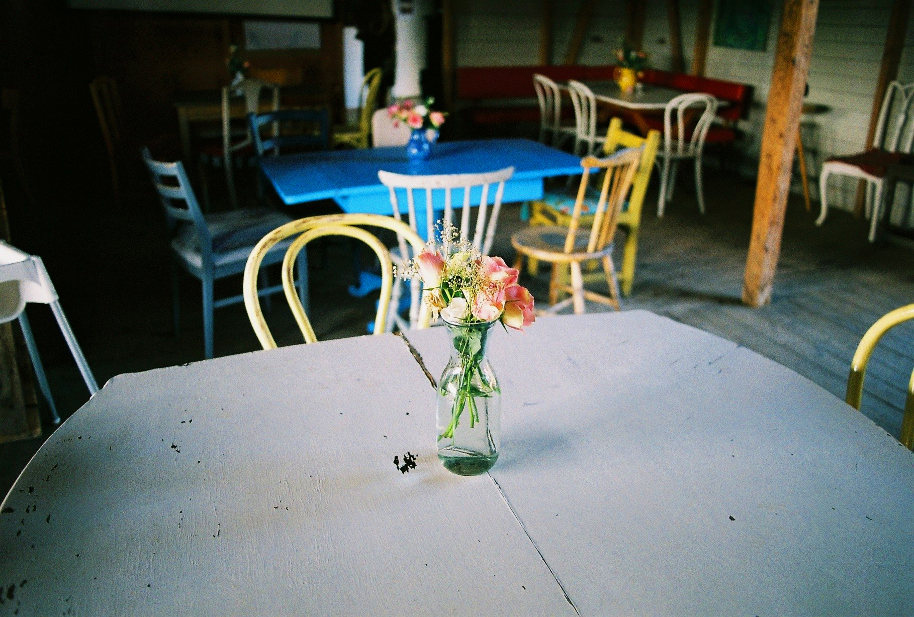 Flowers. Rosenhill