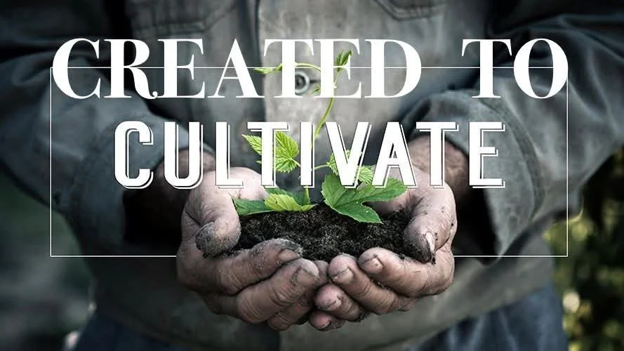 Created to Cultivate.jpeg