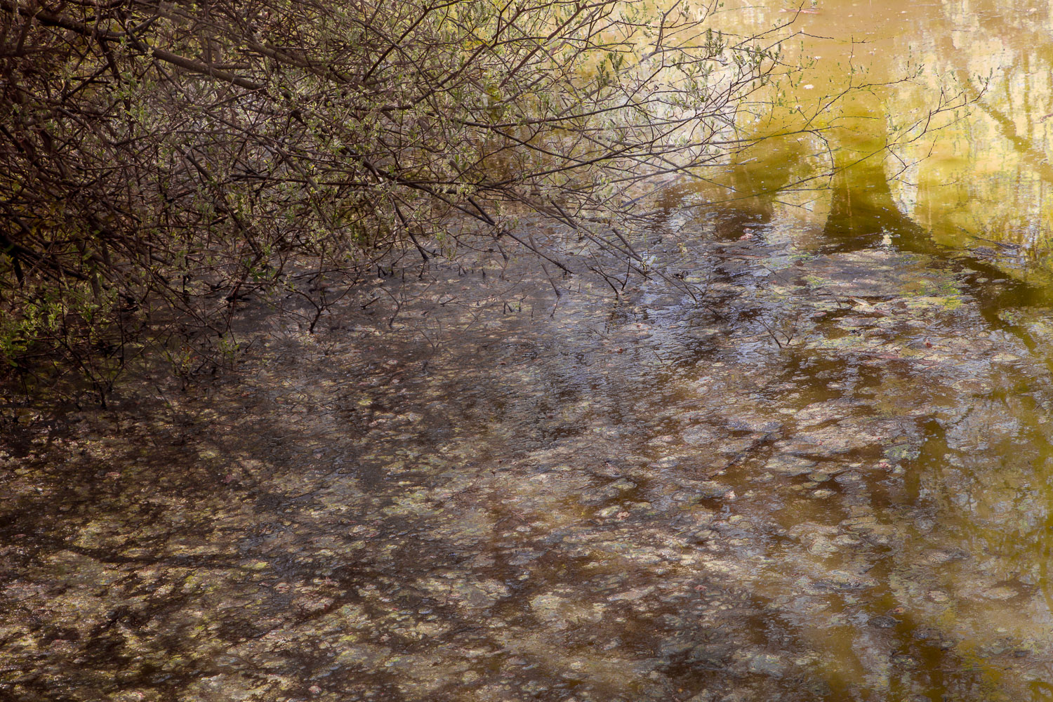 © Valda Bailey