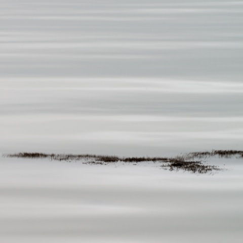 Untitled #5