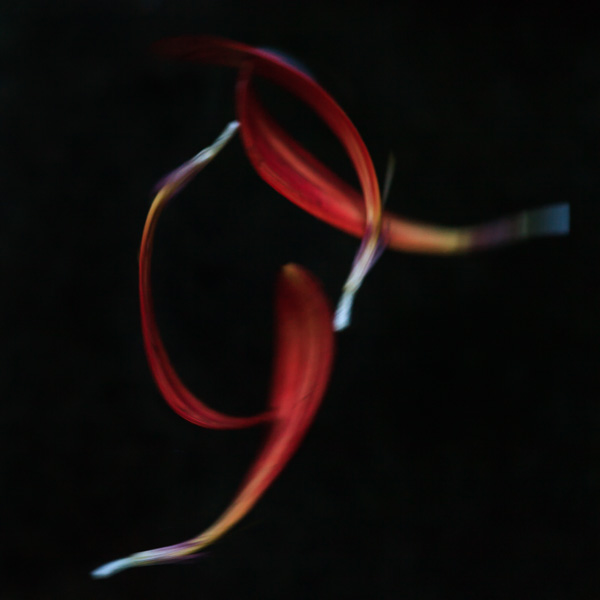 Adagio #5