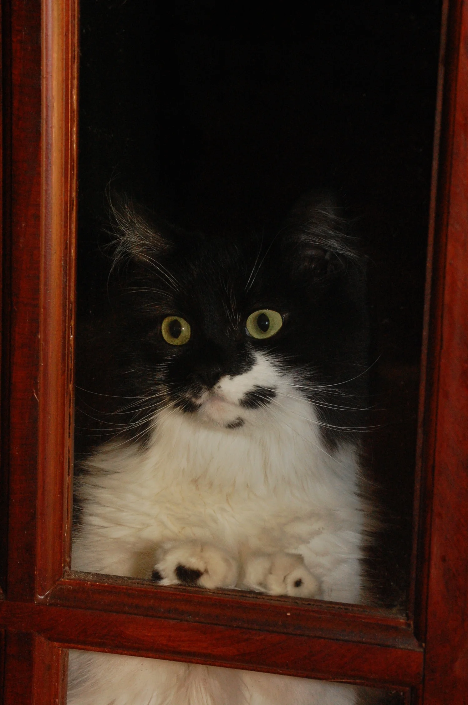Miss Mickey was a shy one, and it took awhile, but so worth the wait.