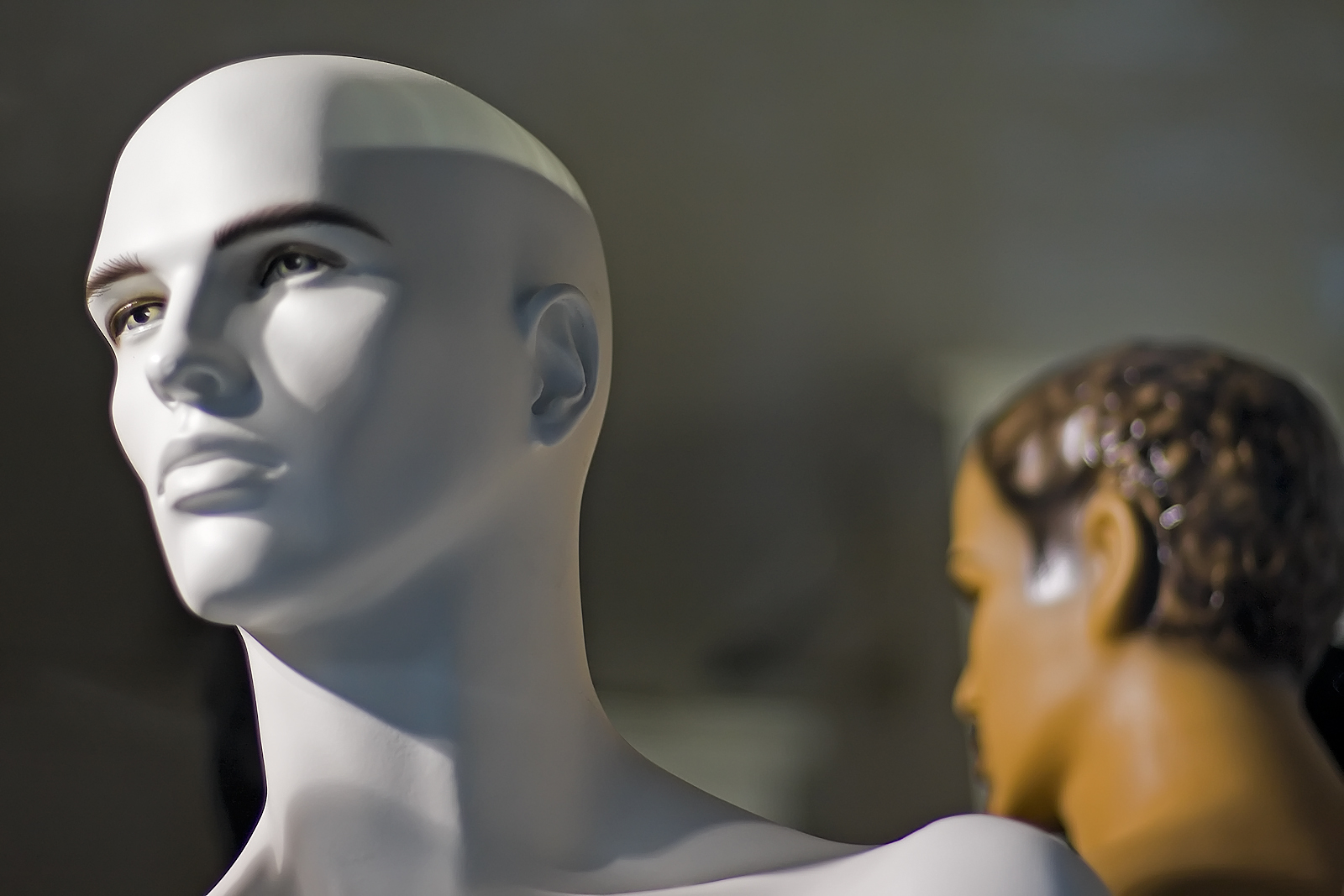 White male mannequin head in storefront window