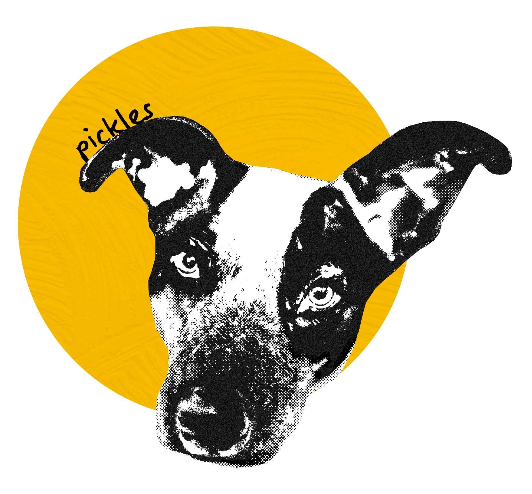 picklesdahpup.jpg