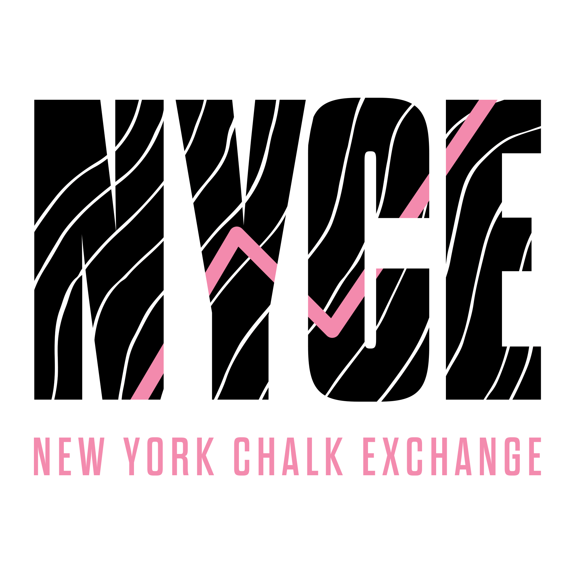 2_NYCE_merch4-frontlogo2.png