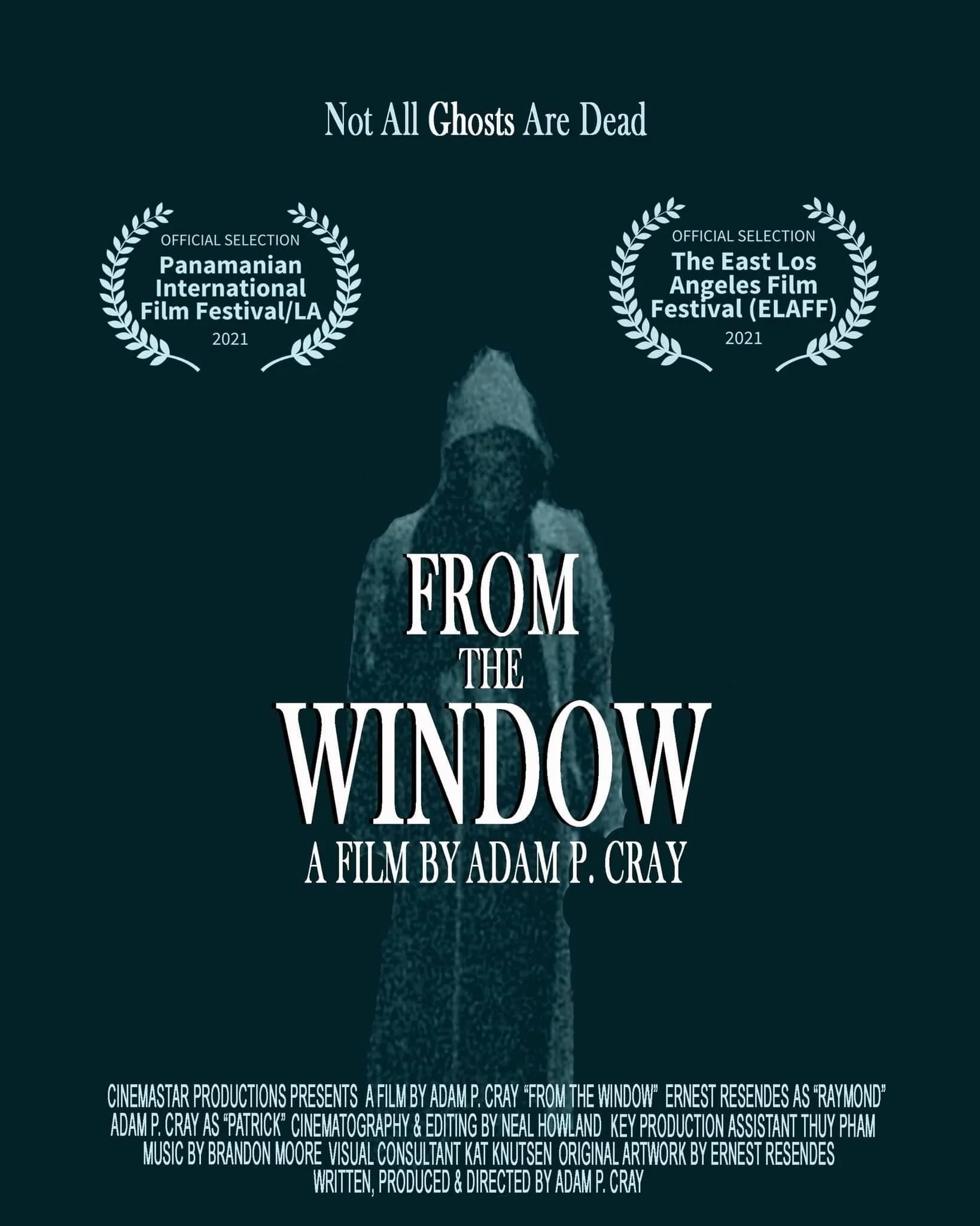  FROM THE WINDOW (short)  Director:&nbsp; Adam P. Cray   Production Company:&nbsp; Cinemastar Productions  