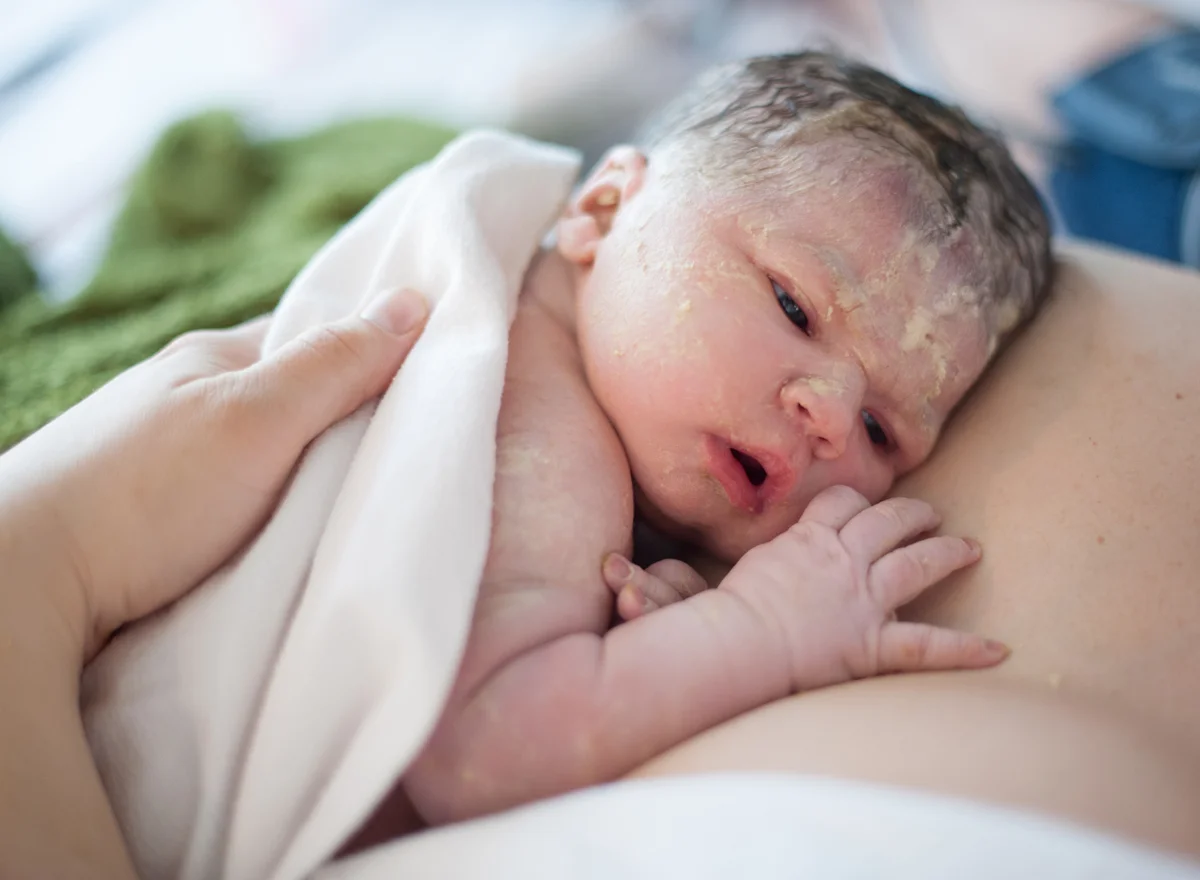 kadencebirth-117-3206190351-O.jpg