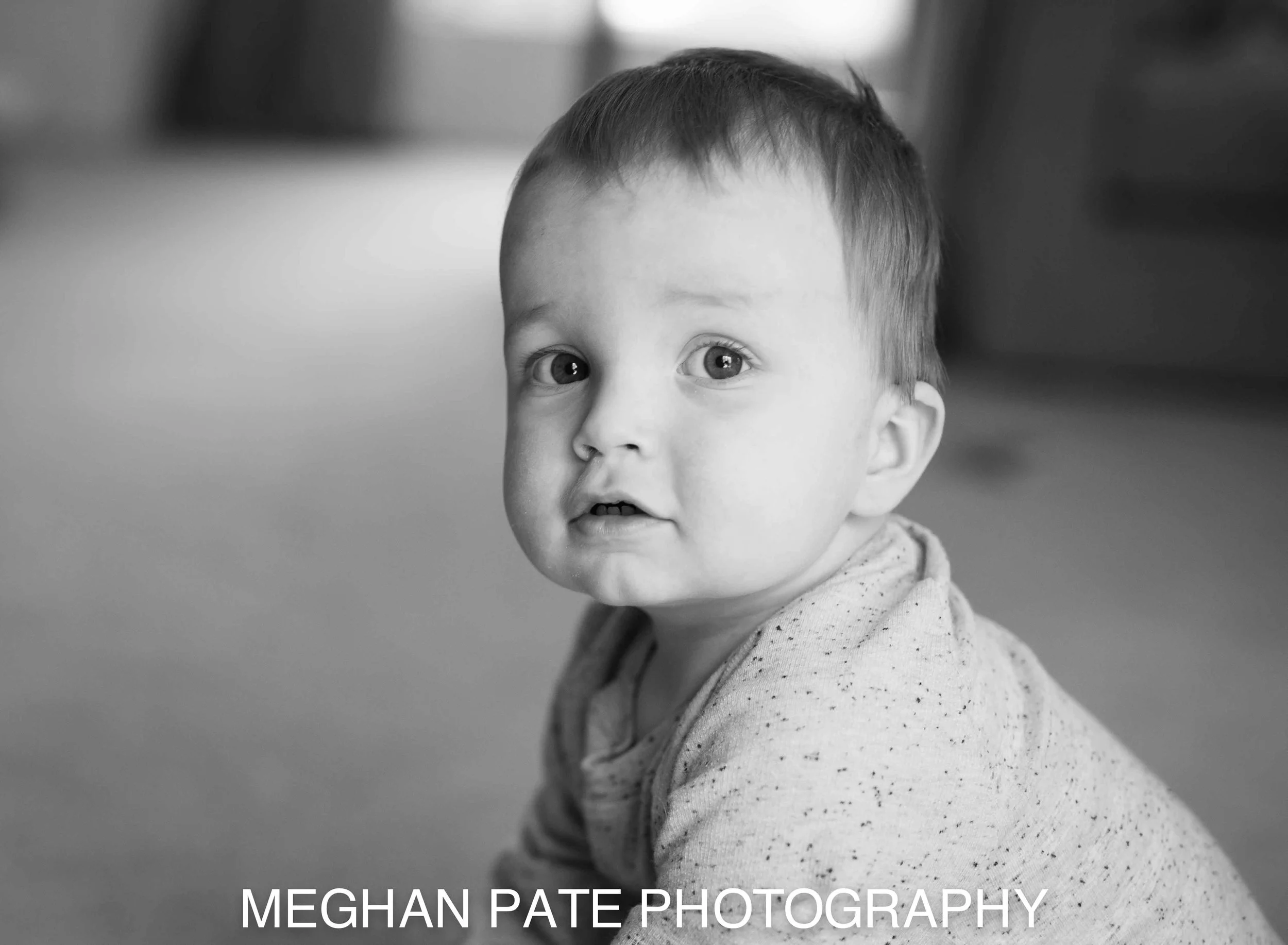 MPP_0909-2.jpg