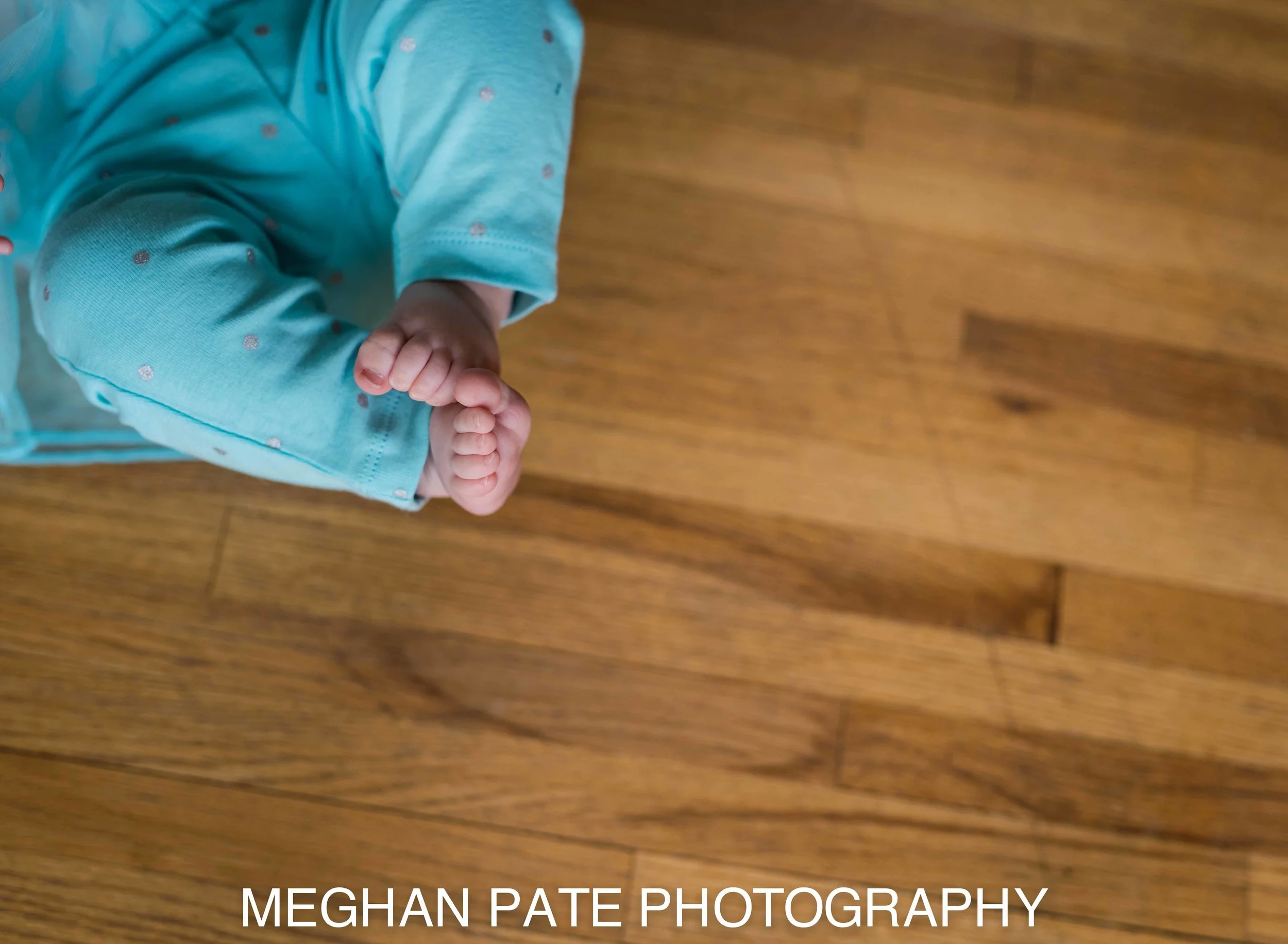 MPP_0228.jpg