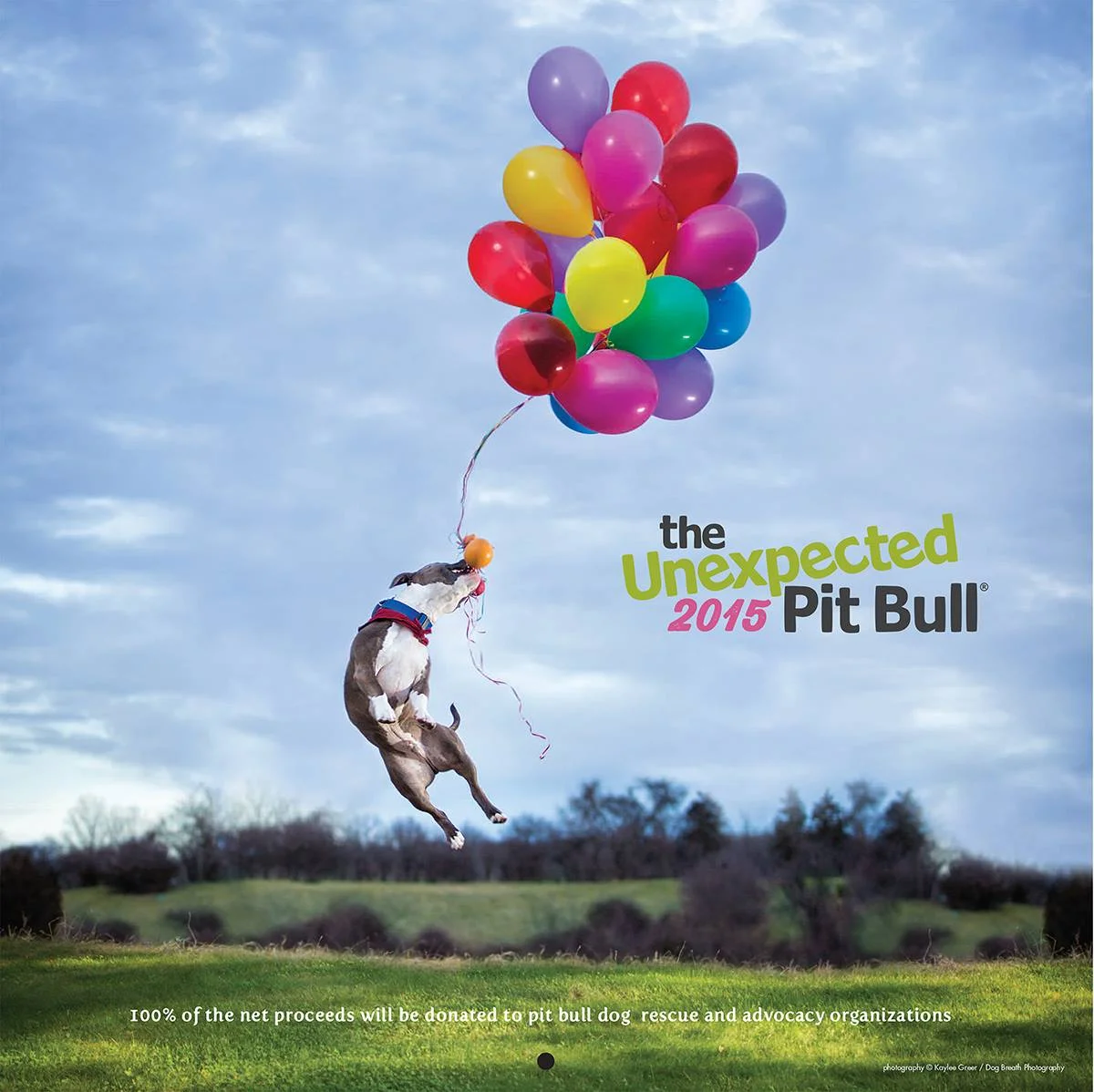 Cover Image for The Unexpected Pit Bull's 2015 calendar