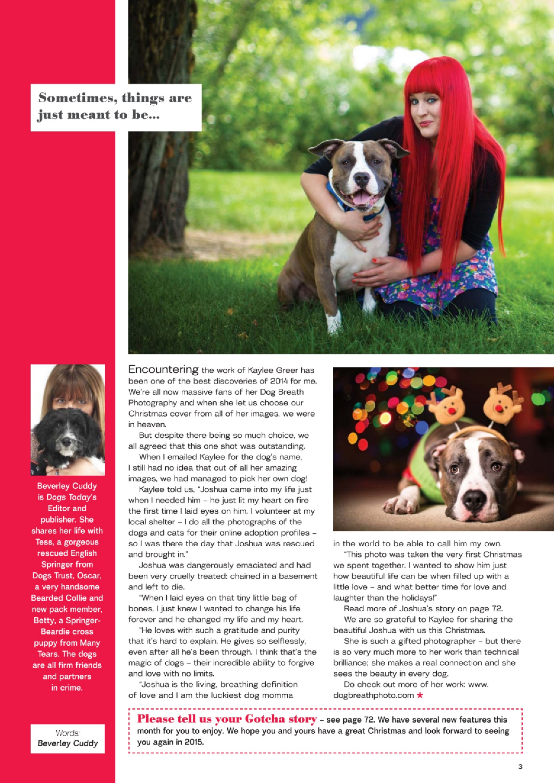 Can My Puppy Breath Under The Covers