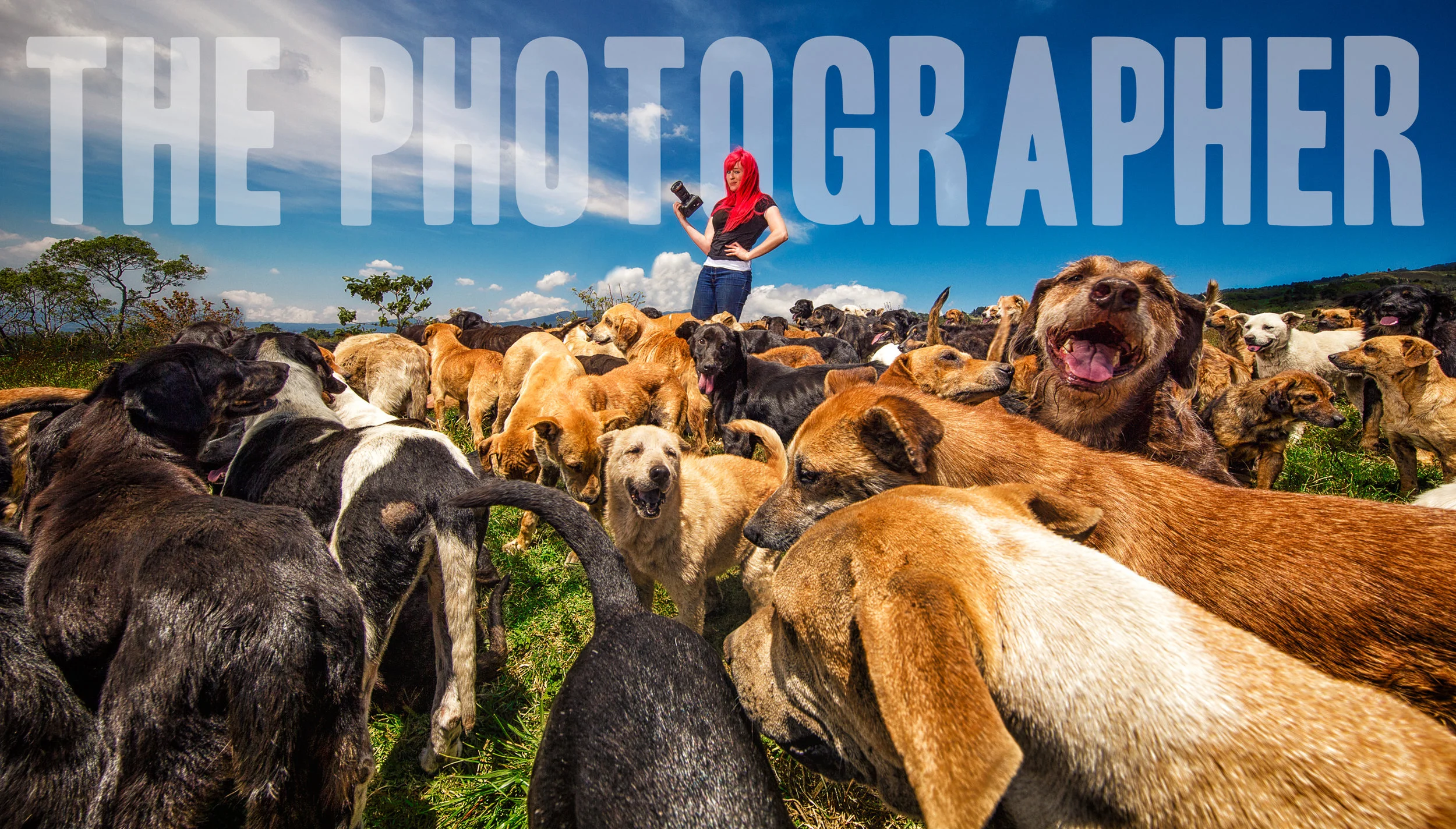 Kaylee at Territorio de Zaguates or 'Land of the Strays' in English, where over 800 homeless and abandoned dogs roam atop a mountain sanctuary in Alejuela, Costa Rica.