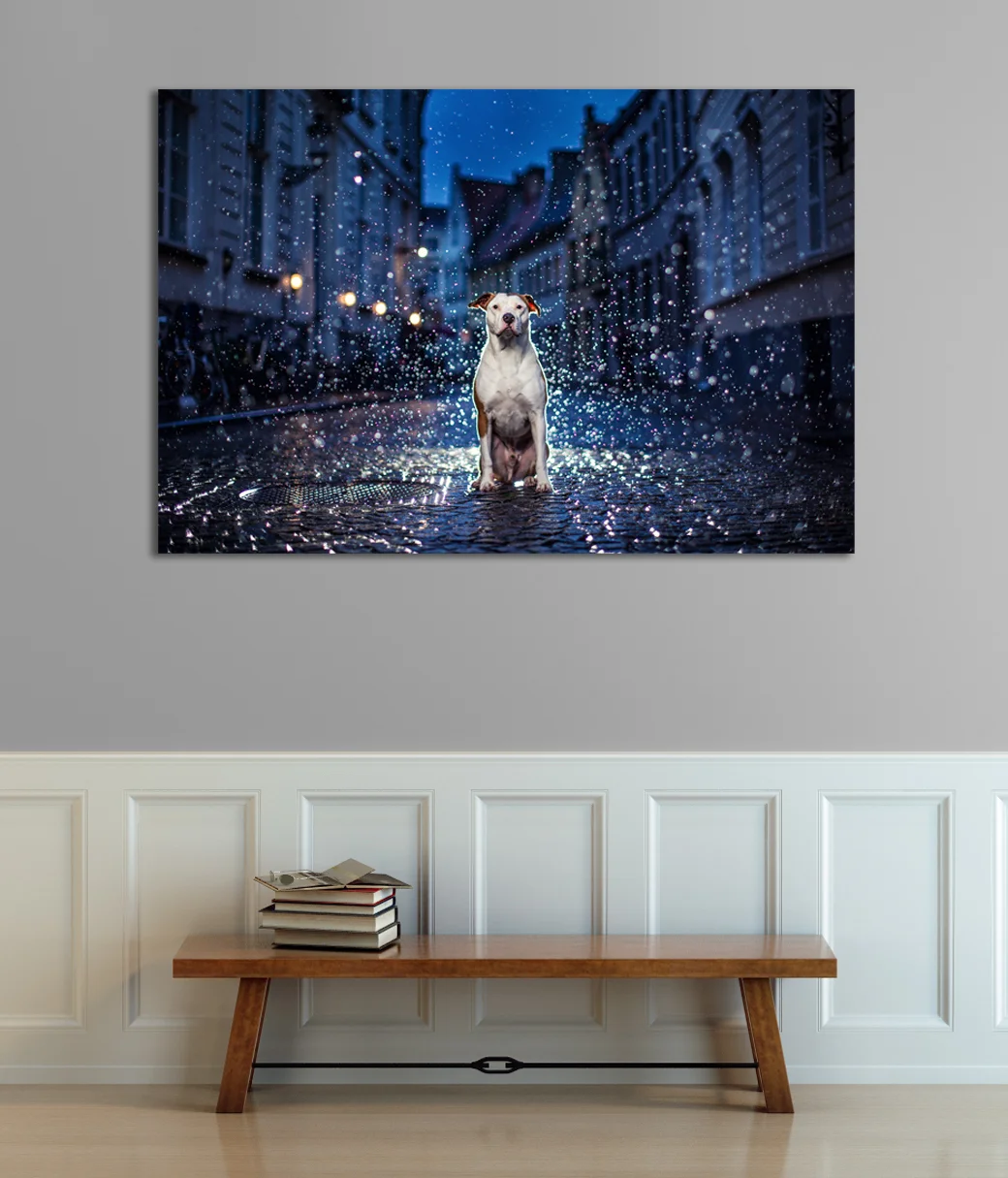 bobby-rain-on-wall.jpg