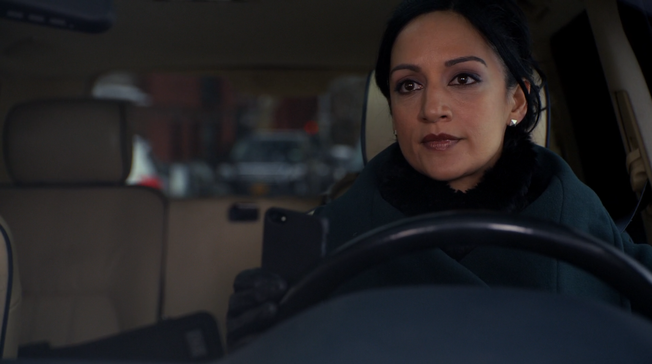 The Good Wife Driving Plates 04.png