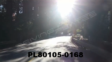 Vimeo clip HD & 4k Driving Plates Redwood Forest, CA PL80105-0168