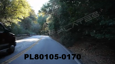 Vimeo clip HD & 4k Driving Plates Redwood Forest, CA PL80105-0170