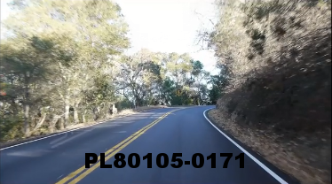 Vimeo clip HD & 4k Driving Plates Redwood Forest, CA PL80105-0171