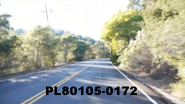 Vimeo clip HD & 4k Driving Plates Redwood Forest, CA PL80105-0172