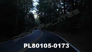 Vimeo clip HD & 4k Driving Plates Redwood Forest, CA PL80105-0173