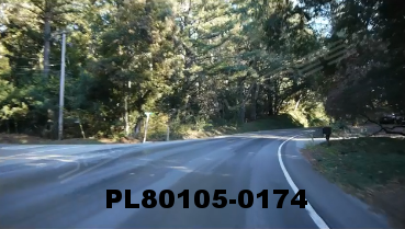 Vimeo clip HD & 4k Driving Plates Redwood Forest, CA PL80105-0174
