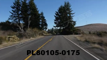 Vimeo clip HD & 4k Driving Plates Redwood Forest, CA PL80105-0175