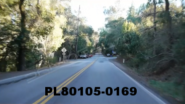 Vimeo clip HD & 4k Driving Plates Redwood Forest, CA PL80105-0169