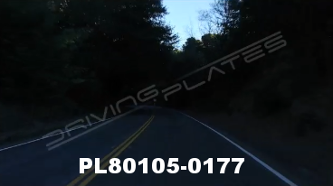 Vimeo clip HD & 4k Driving Plates Redwood Forest, CA PL80105-0177