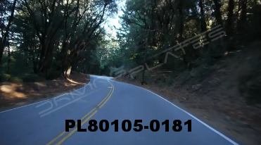 Vimeo clip HD & 4k Driving Plates Redwood Forest, CA PL80105-0181