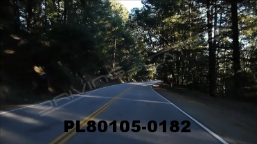 Vimeo clip HD & 4k Driving Plates Redwood Forest, CA PL80105-0182