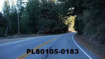 Vimeo clip HD & 4k Driving Plates Redwood Forest, CA PL80105-0183