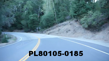 Vimeo clip HD & 4k Driving Plates Redwood Forest, CA PL80105-0185