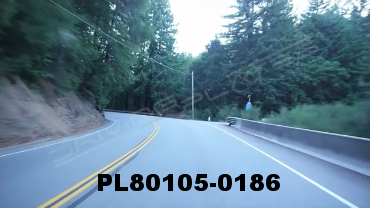 Vimeo clip HD & 4k Driving Plates Redwood Forest, CA PL80105-0186