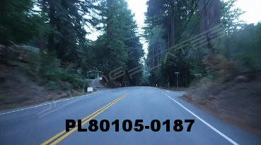 Vimeo clip HD & 4k Driving Plates Redwood Forest, CA PL80105-0187